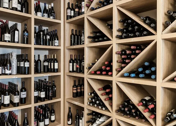 Nidum - 캐주얼 럭셔리