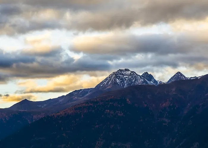 Nidum - 캐주얼 럭셔리 호텔